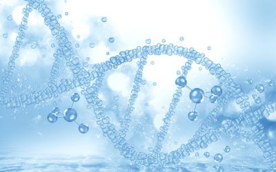 Entendiendo el Glutatión