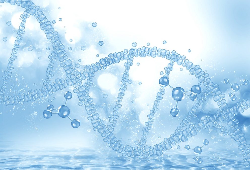 Entendiendo el Glutatión