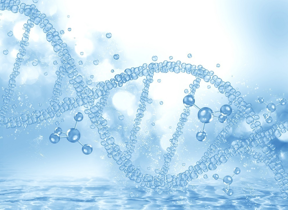 Propiedades del glutatión_glutationesvida.com