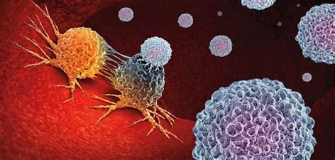 Cancer. Qué es, cómo prevenirlo y tratarlo