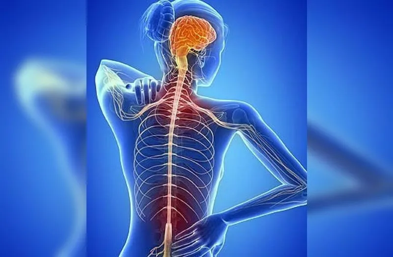 La importancia de Immunocal como complemento en el tratamiento de la enfermedad de ELA