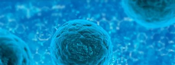 Glutatión Propiedades: La Molécula Antioxidante más Poderosa del Cuerpo