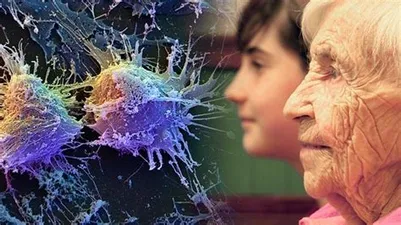 ¿Puede el Glutatión Retrasar el Envejecimiento?