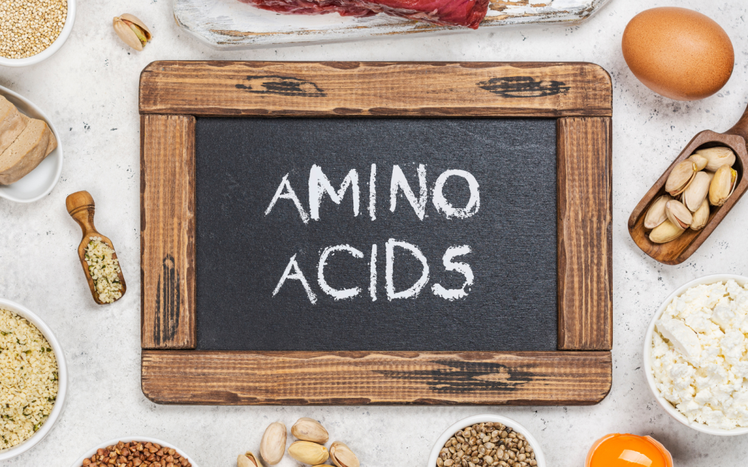 Aminoácidos: Los Bloques de Construcción Esenciales del Cuerpo