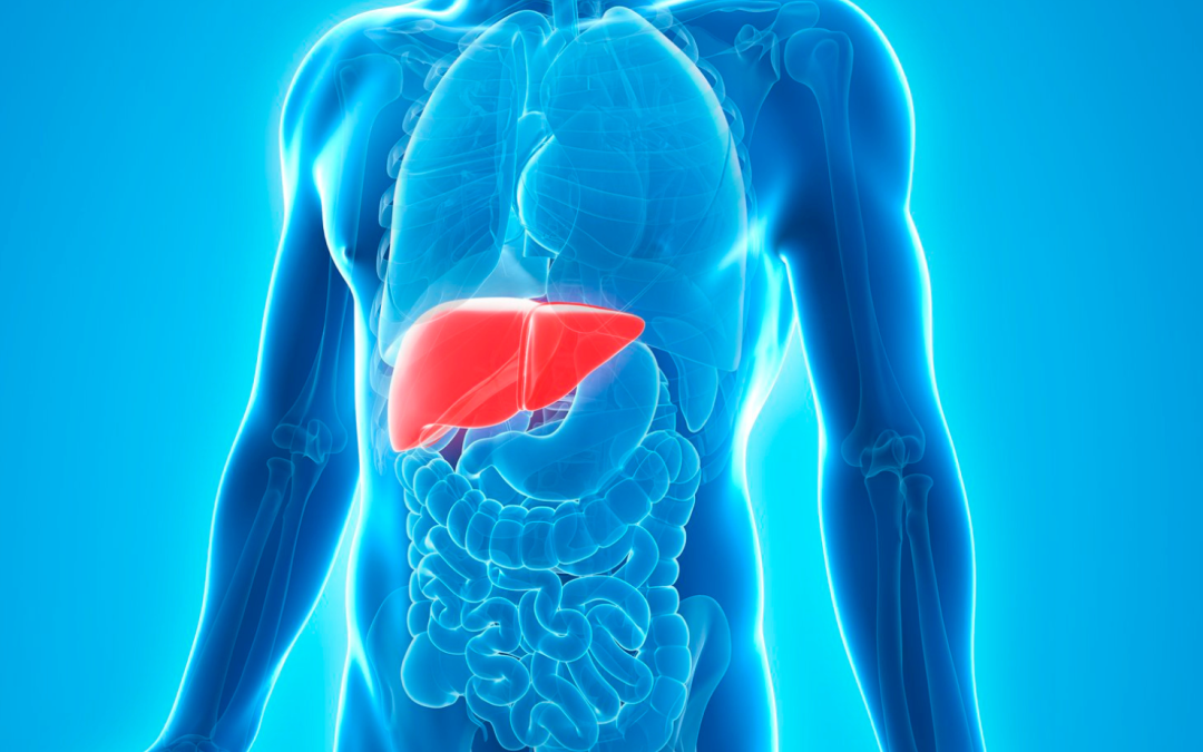 Descubre los secretos para tener un hígado saludable y combatir la acumulación de grasa