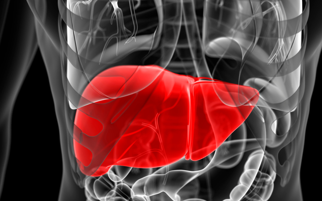 ¡Descubre los 6 alimentos clave para revitalizar tu hígado y mantenerlo saludable!