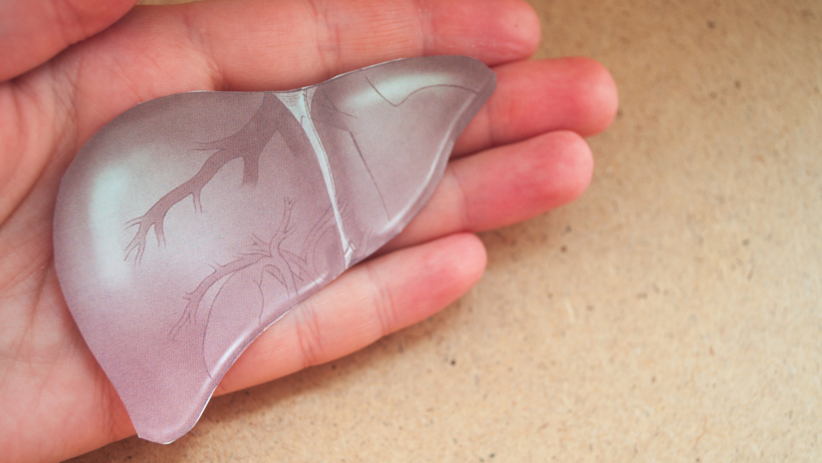 ¡El secreto revelado para proteger tu hígado y combatir la hepatitis!