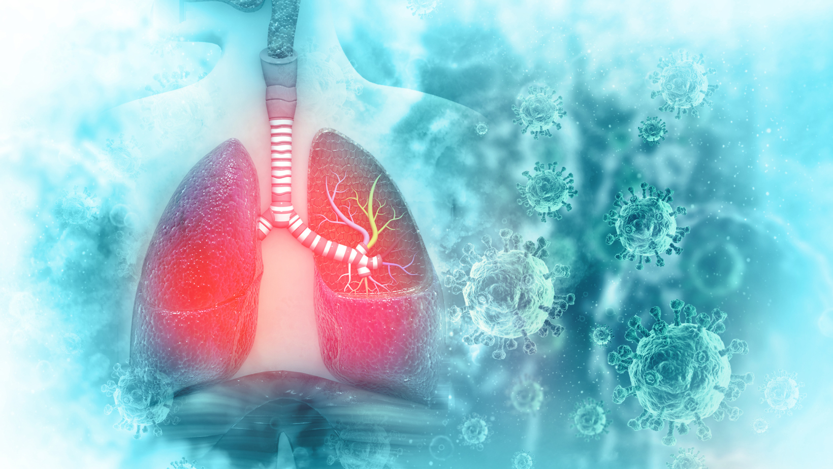 ¡El secreto vital para combatir enfermedades pulmonares!