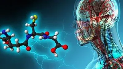 ¿Cómo tomar glutatión? La proteína de alta calidad, la mejor alternativa a los suplementos de baja absorción