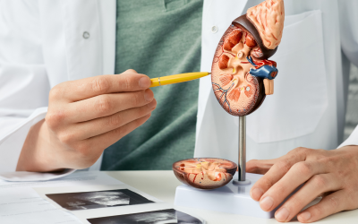 ¡El Sorprendente Descubrimiento del Glutatión para la Insuficiencia Renal y Diálisis!